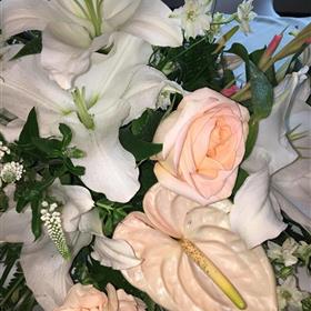 fwthumb475482087_598298719603364_504644635489838940_n (1).jpg